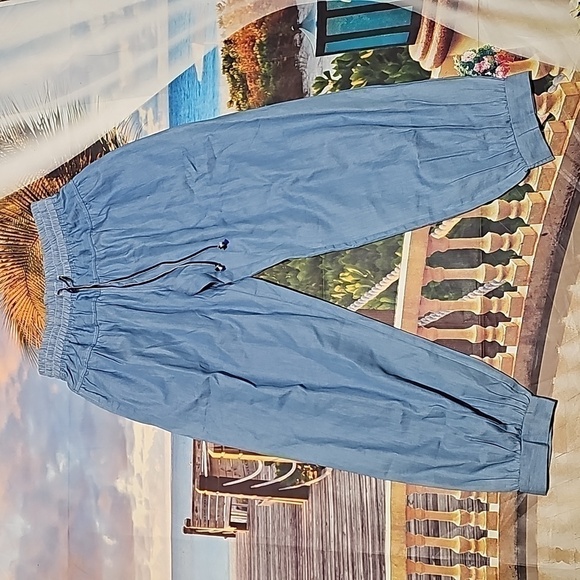 Simple by Suzanne Betro‎ Shirred-Yoke Crop Pants Size Small NWT - Picture 3 of 6